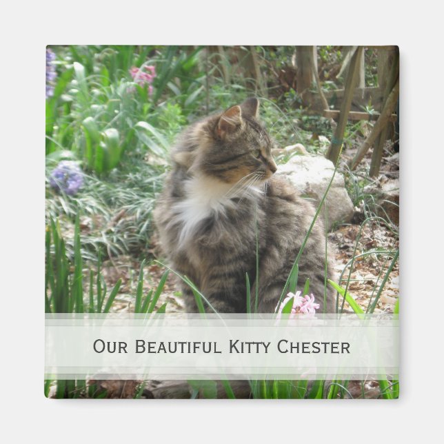 Magnets Personnalisés pour animaux de compagnie :  (Devant)