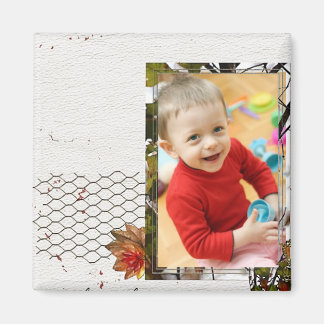 Magnets photo