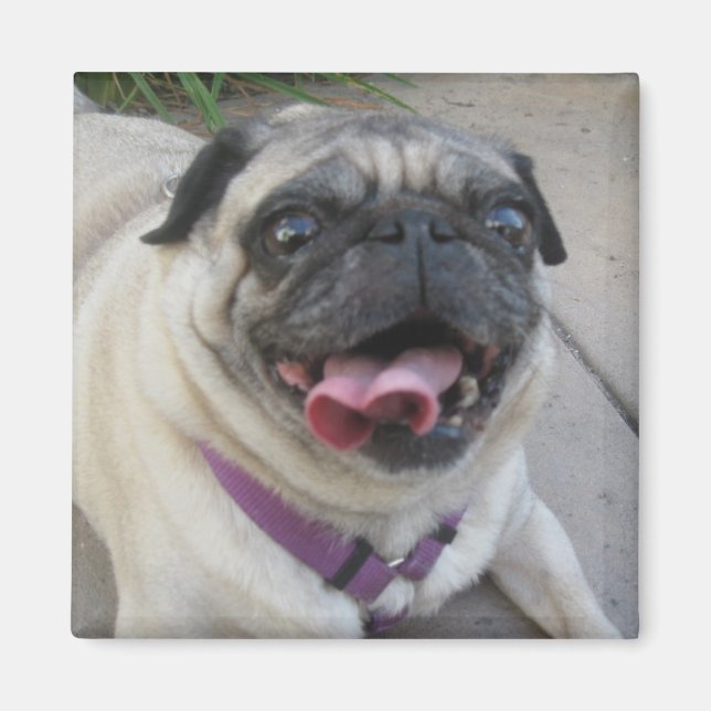 Magnets photo personnalisés (Devant)