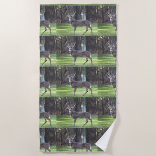 Magnificent Buck Beach Towel