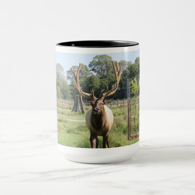 Magnificent Bull Elk Photo on 15oz combo mug (Center)