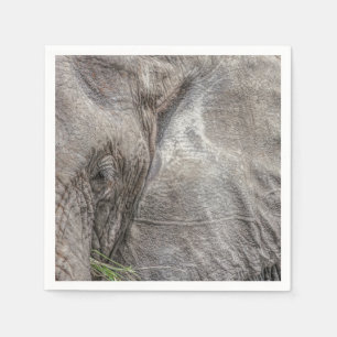 Magnificent Elephant Cocktail Napkins