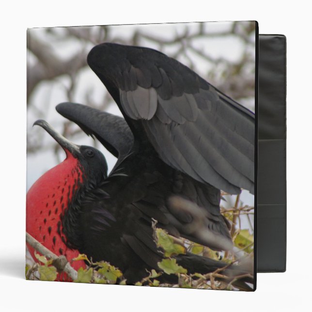 Magnificent Frigate Bird Binder (Front/Inside)