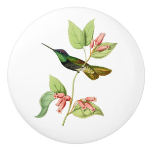 Magnificent Hummingbird Ceramic Knob