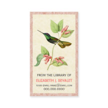 Magnificent Hummingbird Personalized Media Cards