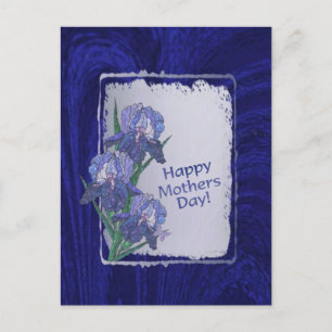 Magnificent Iris Blossoms Mothers Day Wishes Postcard