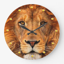 Magnificent Lion's Head Beautifully Regal