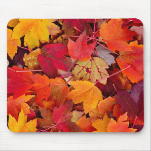 Magnificent Maple Leaves Mouse Pad