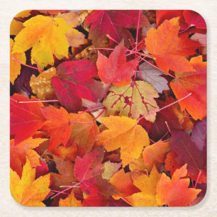 Magnificent Maple Leaves Square Paper Coaster