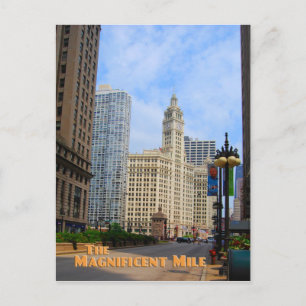 Magnificent Mile - Chicago Illinois Postcard