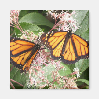 MAGNIFICENT MONARCHS BY GREGORY GALLO MAGNET