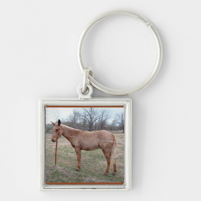 Magnificent Mule! Keychain (Front)