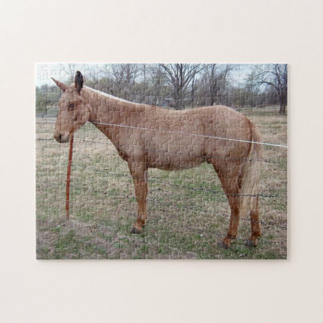 Magnificent Mule! Puzzle (Horizontal)