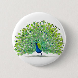 Magnificent Peacock Art 2 Inch Round Button