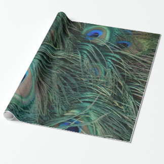 Magnificent Peacock Feathers Wrapping Paper