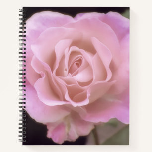Magnificent Pink Rose Notebook