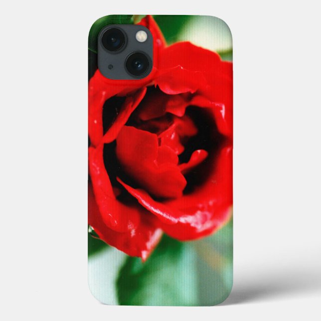 Magnificent red rose with morning dew drops  Case-Mate iPhone case (Back)