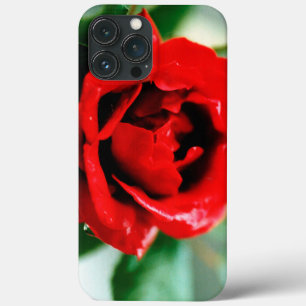 Magnificent red rose with morning dew drops iPhone 13 pro max case