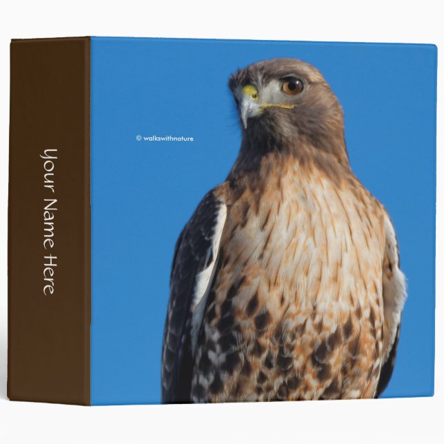 Magnificent Red-Tailed Hawk in the Sun Binder (Front/Spine)