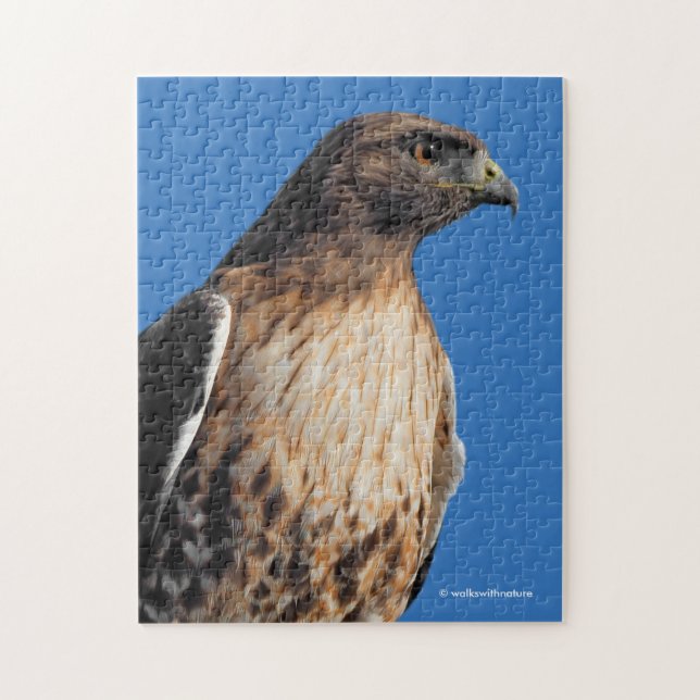 Magnificent Red-Tailed Hawk in the Sun Jigsaw Puzzle (Vertical)