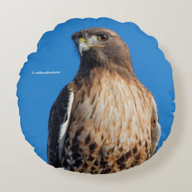 Magnificent Red-Tailed Hawk in the Sun Round Pillow (Front)