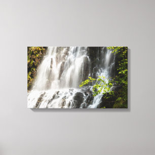 Magnificent Waterfall Canvas