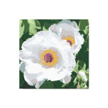 Magnificent white peony on canvas