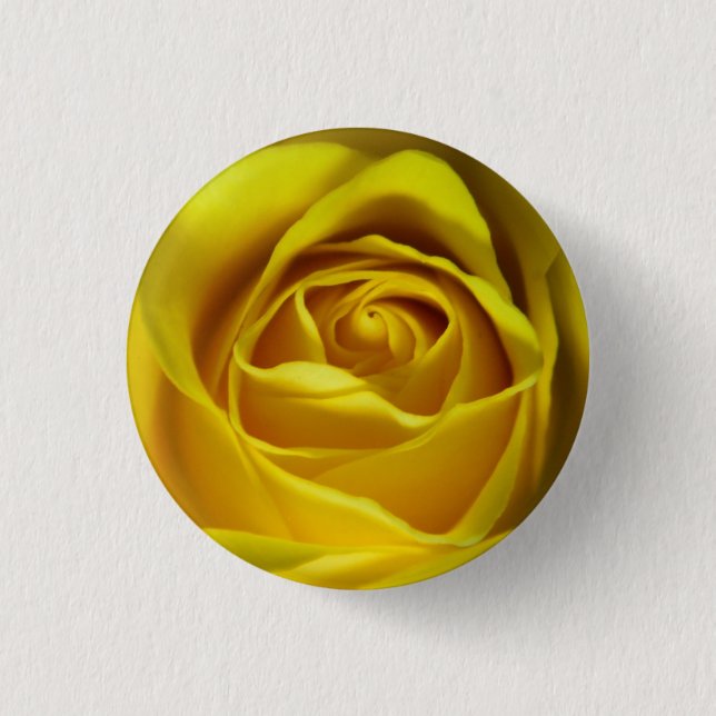 Magnificent yellow rose macro picture 1 inch round button (Front)