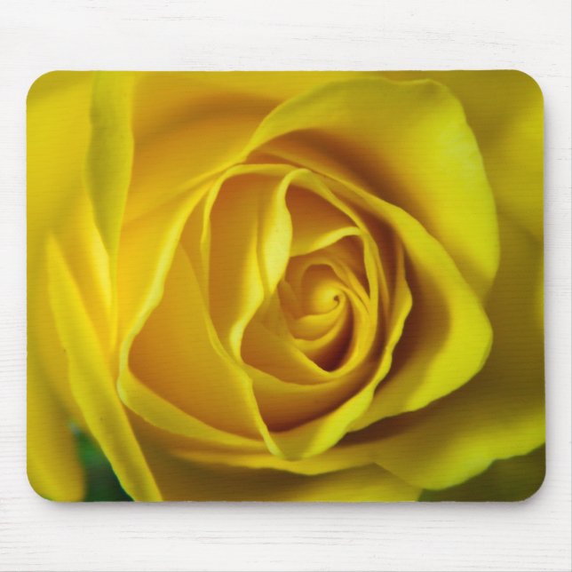 Magnificent yellow rose macro picture mouse pad (Front)