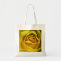 Magnificent yellow rose macro picture