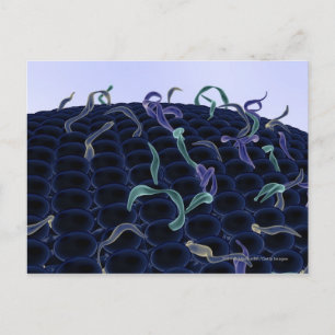 Magnified cell membrane postcard