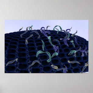 Magnified cell membrane poster