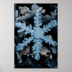 Magnified Hexagonal Dendrite Snowflake Poster