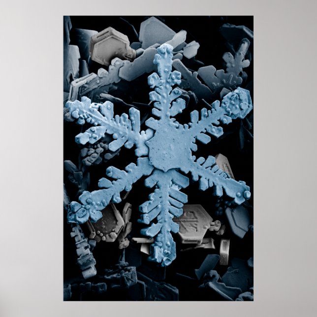 Magnified Hexagonal Dendrite Snowflake Poster (Front)
