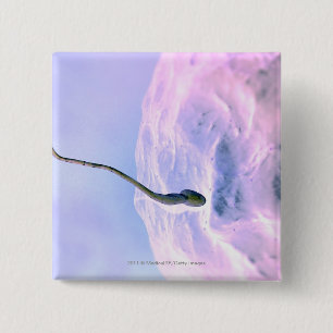 Magnified look at a sperm fertilizing an egg 2 inch square button