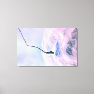 Magnified look at a sperm fertilizing an egg canvas print