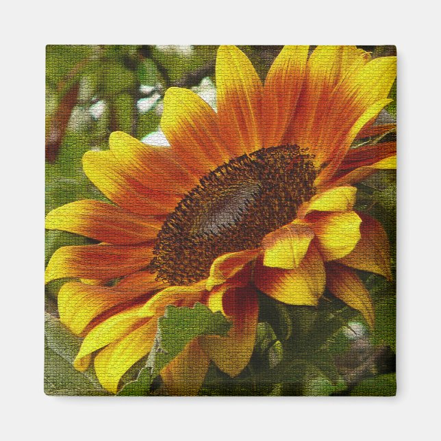 Magnifique Aimant de tournesol jaune et orange (Devant)
