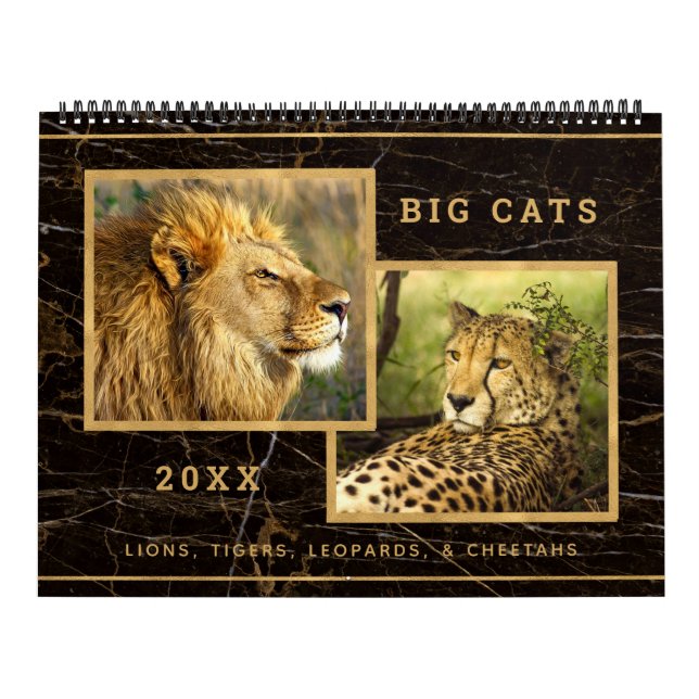 Magnifique Big Cats Photo Calendrier (Protection)