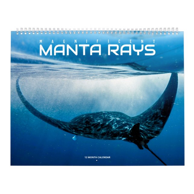 Magnifique calendrier des rayons Manta (Protection)
