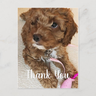 Magnifique Carte de remerciements Cockapoo Puppy