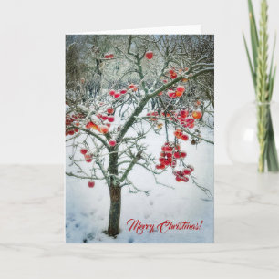 Magnifique carte de voeux de Noël !