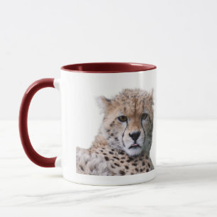 Magnifique Cheetah Belle Chat Photo Mug