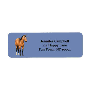 Magnifique Cheval Buckskin Quarter