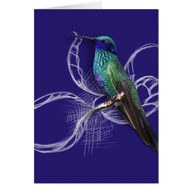 Magnifique colibri - personnalisez en ajoutant un  (Devant)