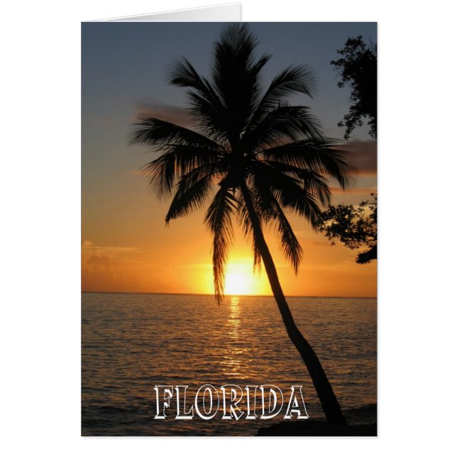 Magnifique Floride (Devant)