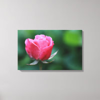 Magnifique impression sur toile tendue de rose ros