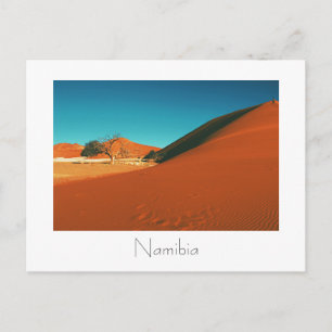 Magnifique Namibie Dune Sand View Carte postale