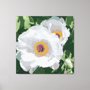 Magnifique pivoine blanche sur toile