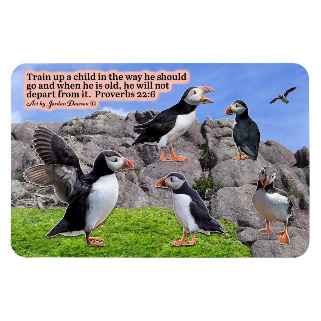 Magnifique Puffin Scripture Magnet Proverbes 22:6 (Horizontal)