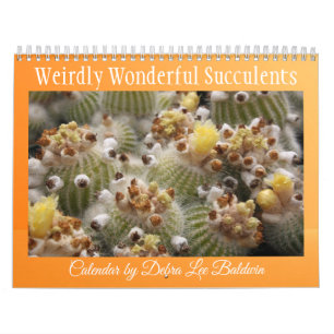 Magnifiquement Merveilleux Calendrier Succulents